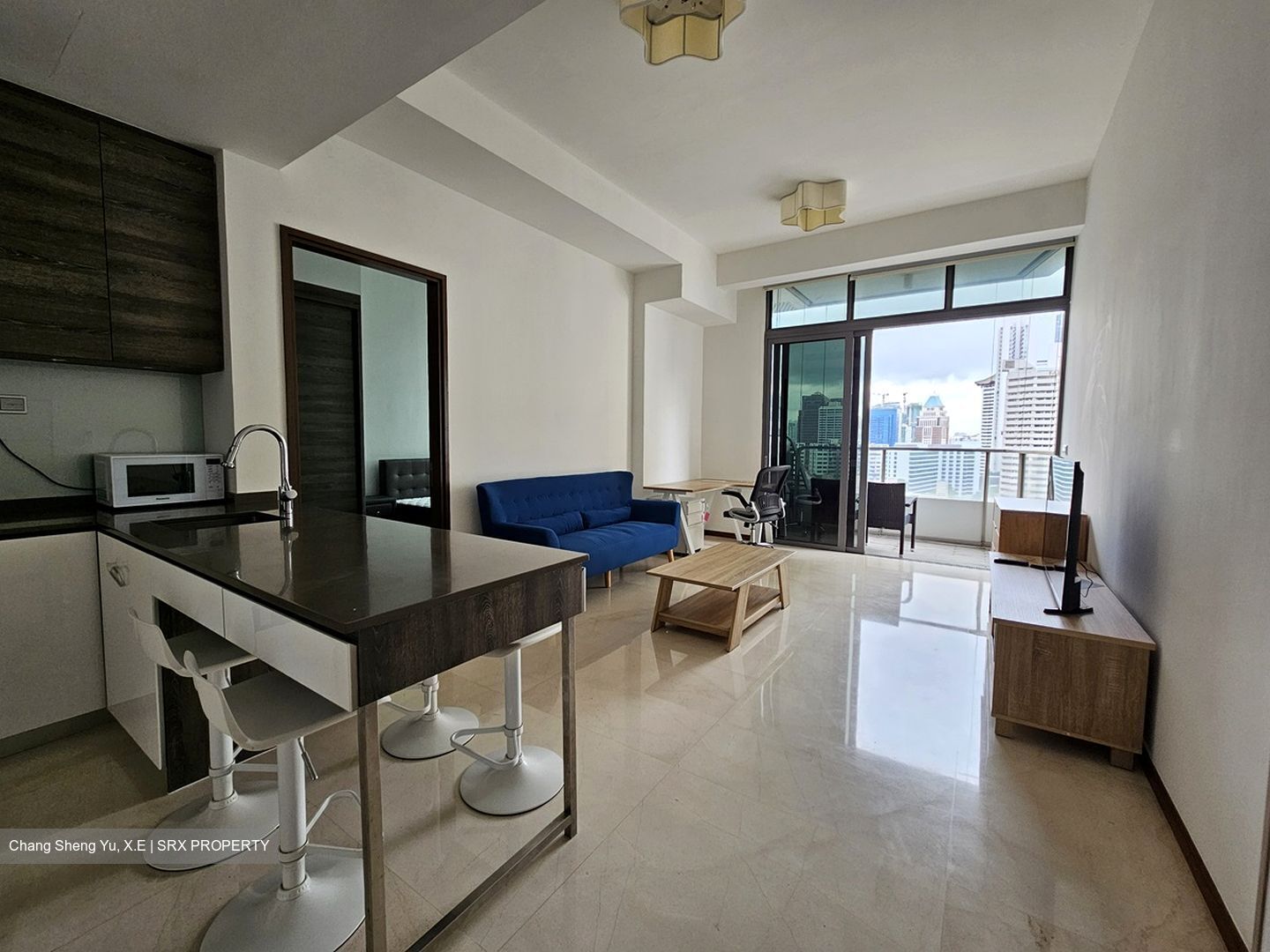 The Scotts Tower (D9), Condominium #432984181